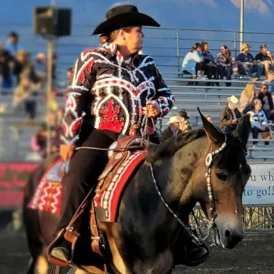 HCR Performance Horses