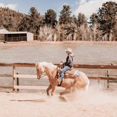 Old Glory Performance Horses