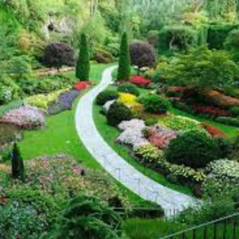 White Plains Landscaping Inc