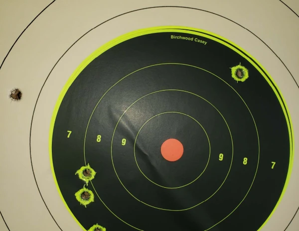 454 Cassull, 75 yards 2 inch barrel