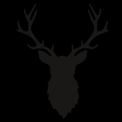 Stag Homes - Remodeling Redefined
