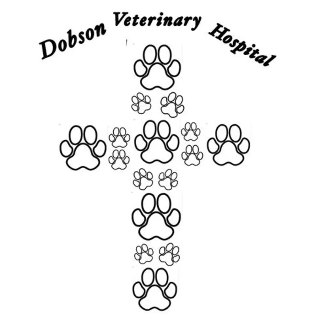 Dobson Veterinary Hospital