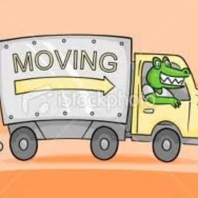 299 Movers And Co