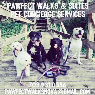 Pawfect Walks & Suites