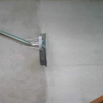 Willys Carpet  Cleaning