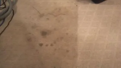 Prestige Carpet Cleaning & Upholstery