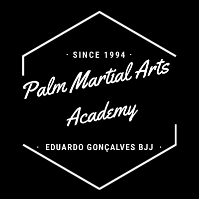 Brazilian Jiu Jitsu Lessons