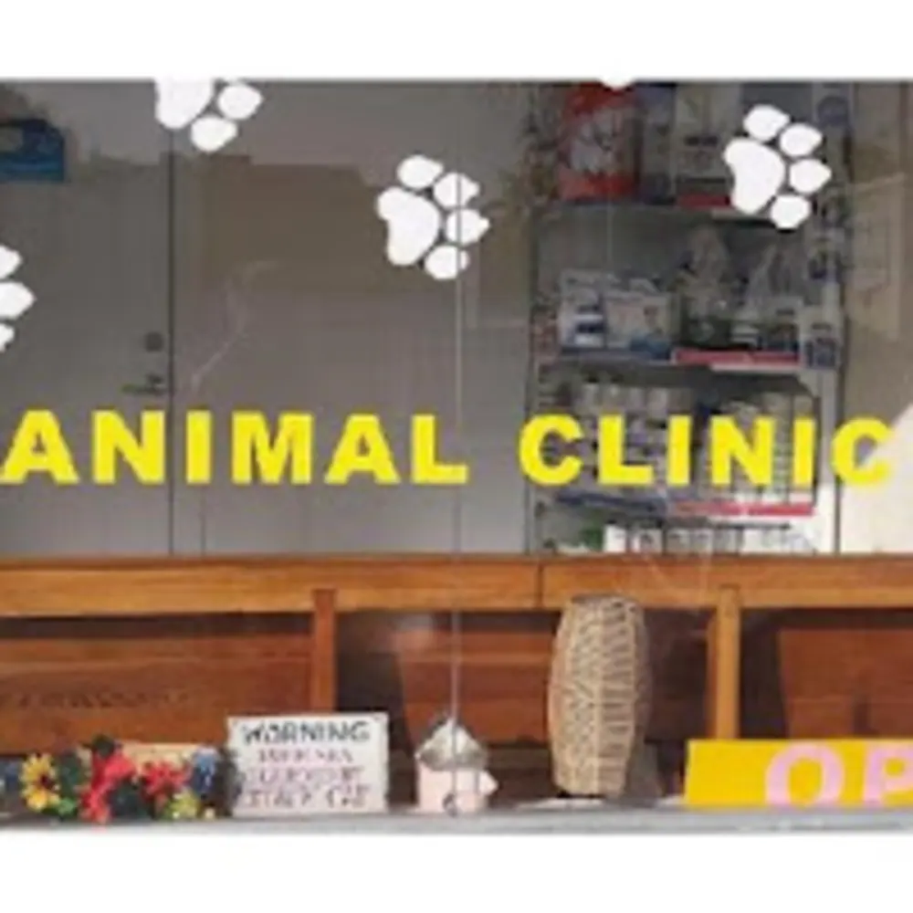 Key West Vets And Pets - Vet in Homestead, FL - Vety