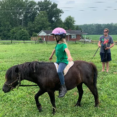 Willow Wood Farms