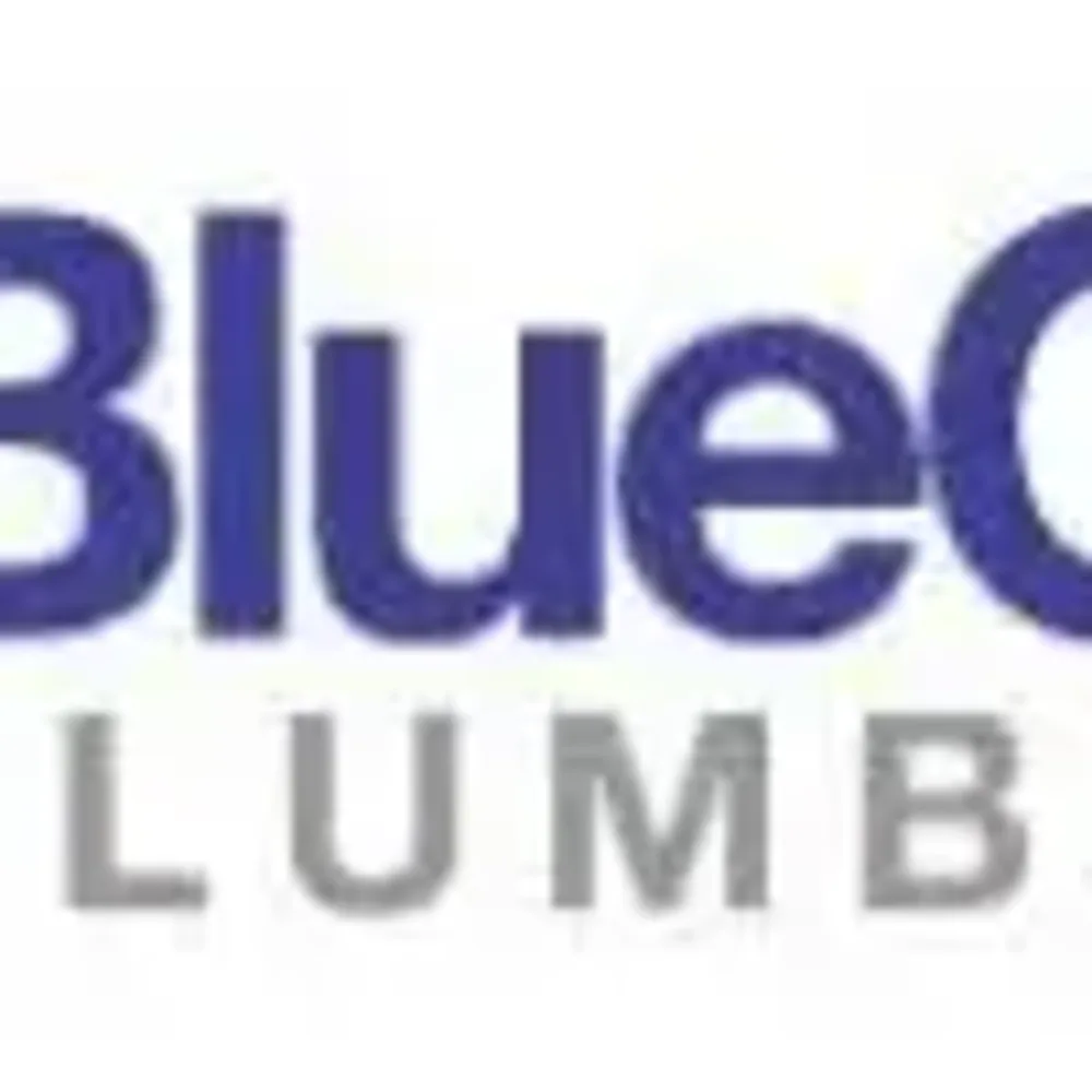 Blue Chip Plumbing