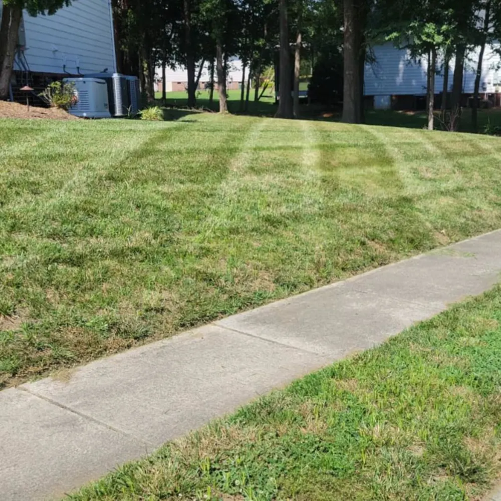 Pine Straw Services Llc