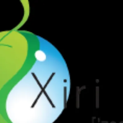 Xiricompany.com