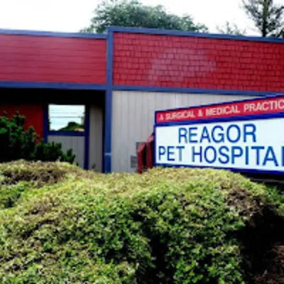 Reagor Pet Hospital