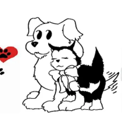 Keystone Pet Hospital