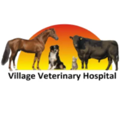 Village Veterinary Hospital