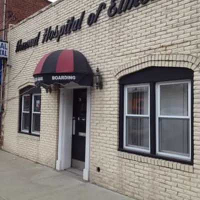 Animal Hospital Of Elmont