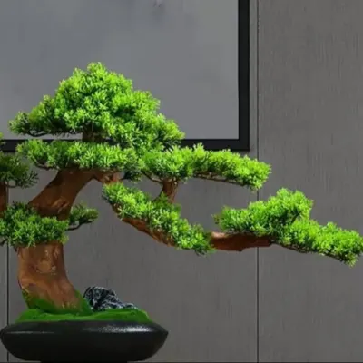 Patriot Landscaping