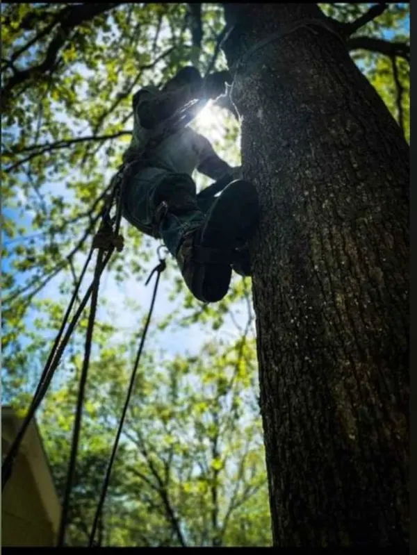 Experienced climbers
