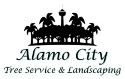 Alamo City Tree Service & Landscaping