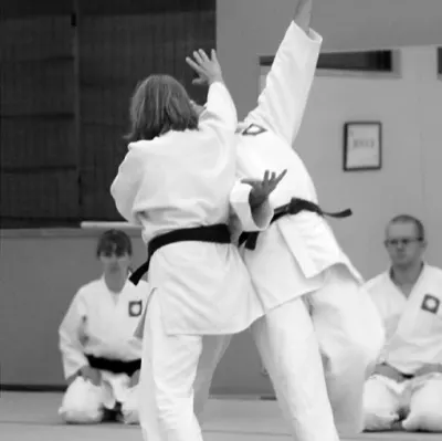 Aikido Yoshokai Of Minnesota