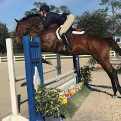 La Petite Cheval Farm