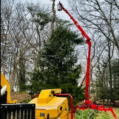 Greenleaf Tree  Service, Llc 