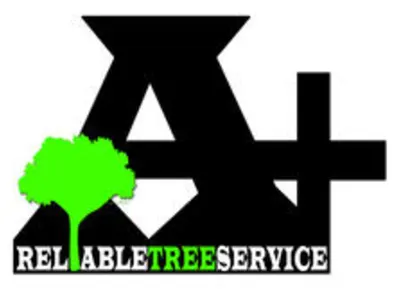A+ Reliable Tree Service