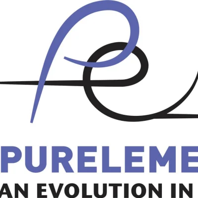 Purelements: An Evolution In Dance At Lenox Academy