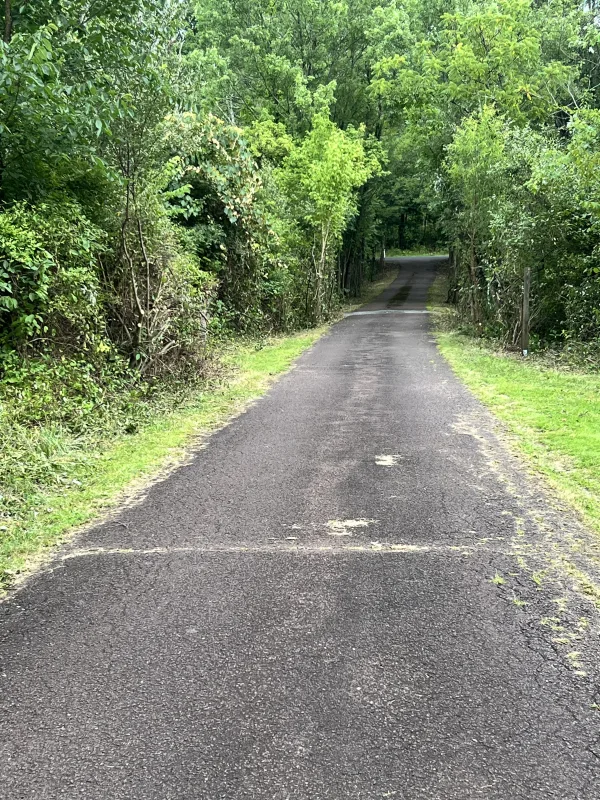 Driveway clearance