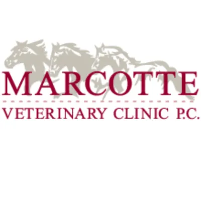 Marcotte Veterinary Clinic, P.C.