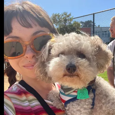 Dog Walker