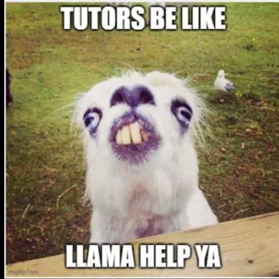 Paula's English Tutoring Services 