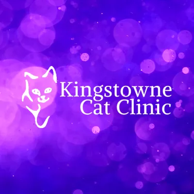 Kingstowne Cat Clinic