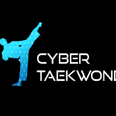 Cyber Taekwondo