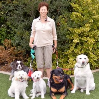 Pooch Sitters