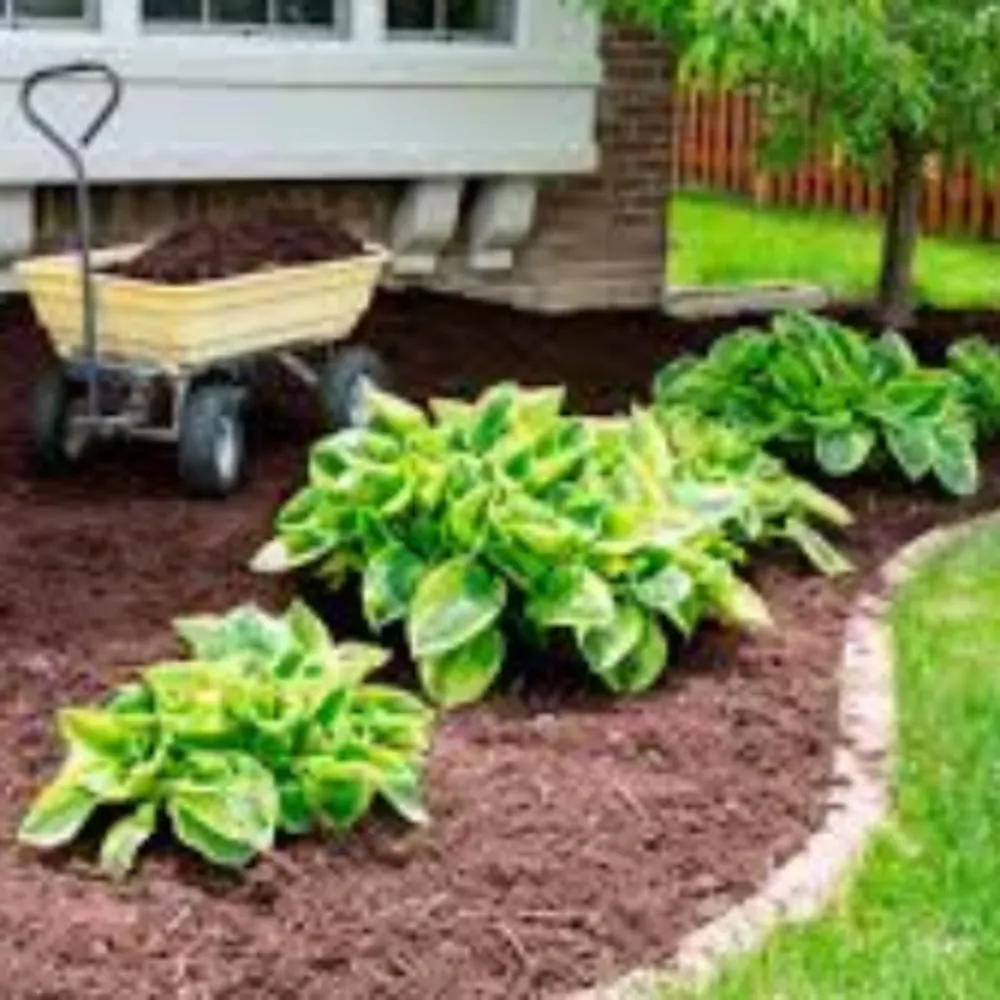North Shore Mulch & Garden