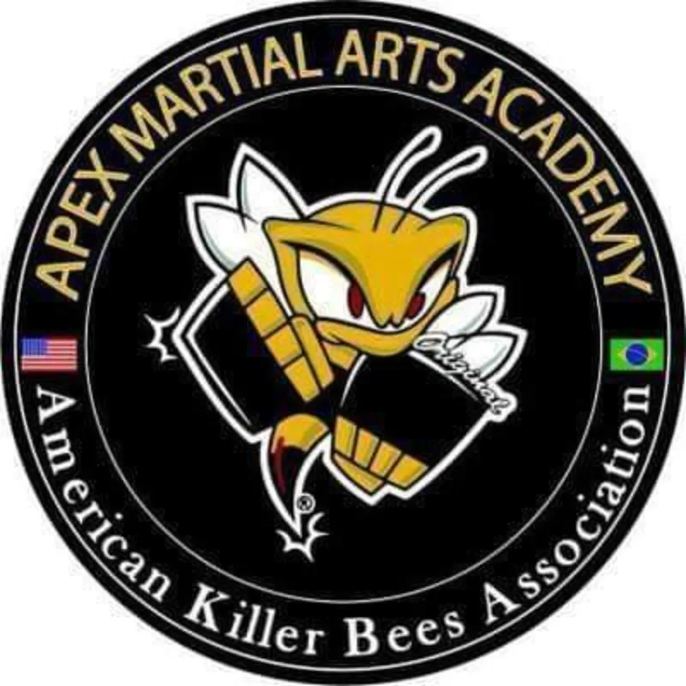 Apex Martial Arts Academy