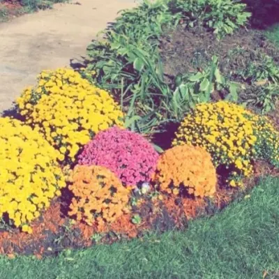 Natys Landscaping & Construction