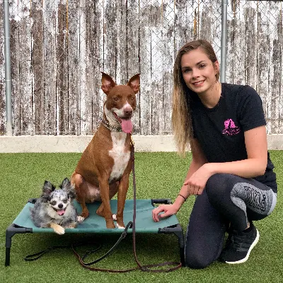 Serenity Dog Training LLC