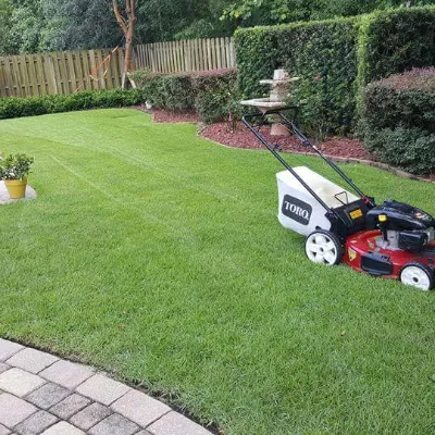 Picture Perfect Lawn Maintenance