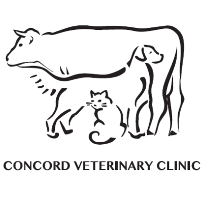 Concord Veterinary Clinic