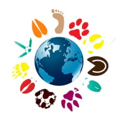 Black Creek Veterinary Hospital