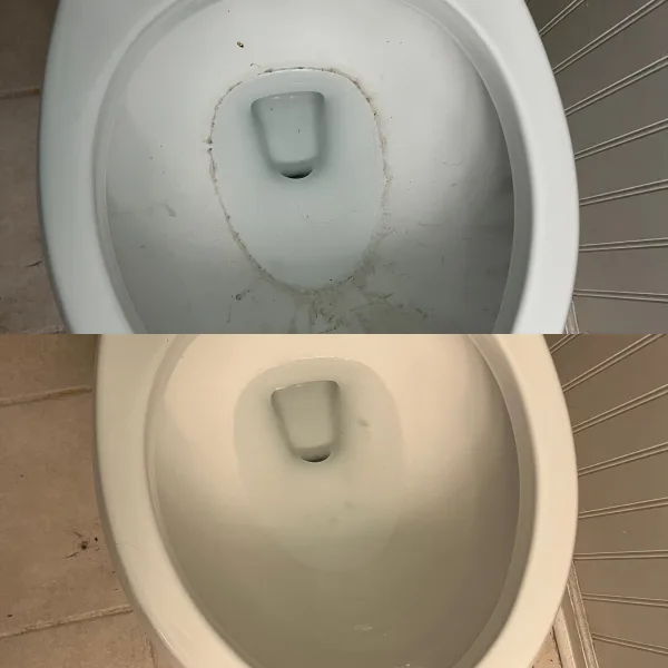 toilet cleaning 