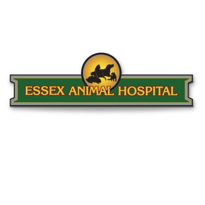 Essex Animal Hospital