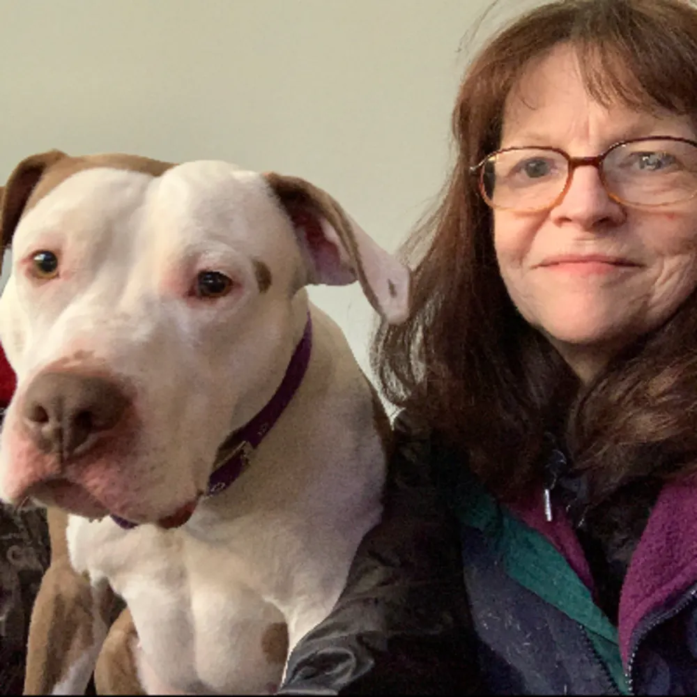 Affordable Pet Sitting