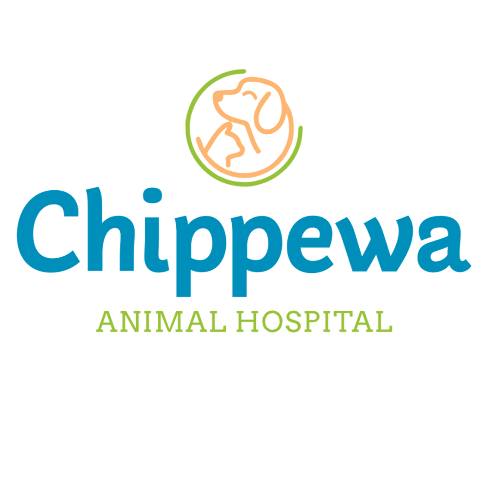 Chippewa Animal Hospital