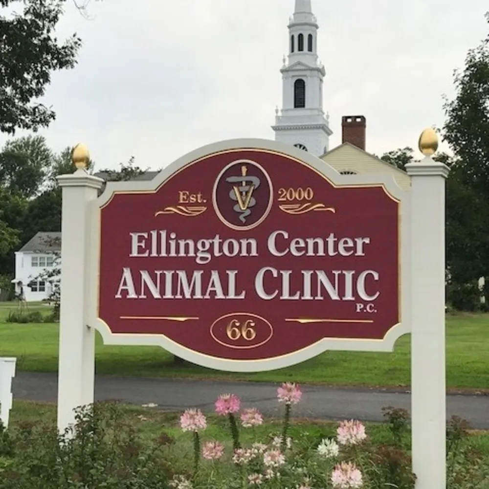 Ellington Center Animal Clinic