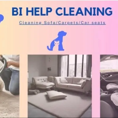 BI HELP Cleaning