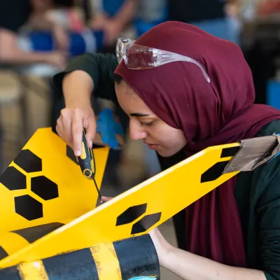 Aliza Hameed - Tutoring