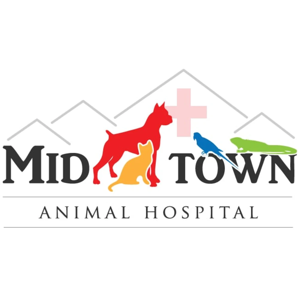 Midtown Animal Hospital